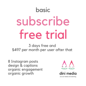 basic social media subscription